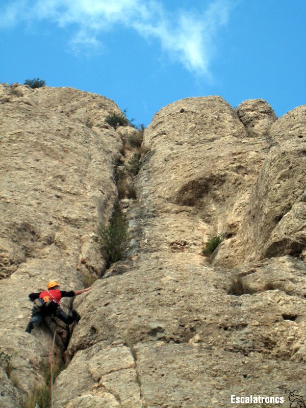 Diedre del 5e llarg
