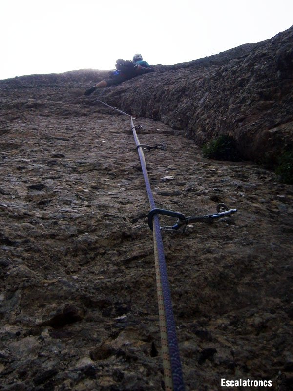 Segon llarg