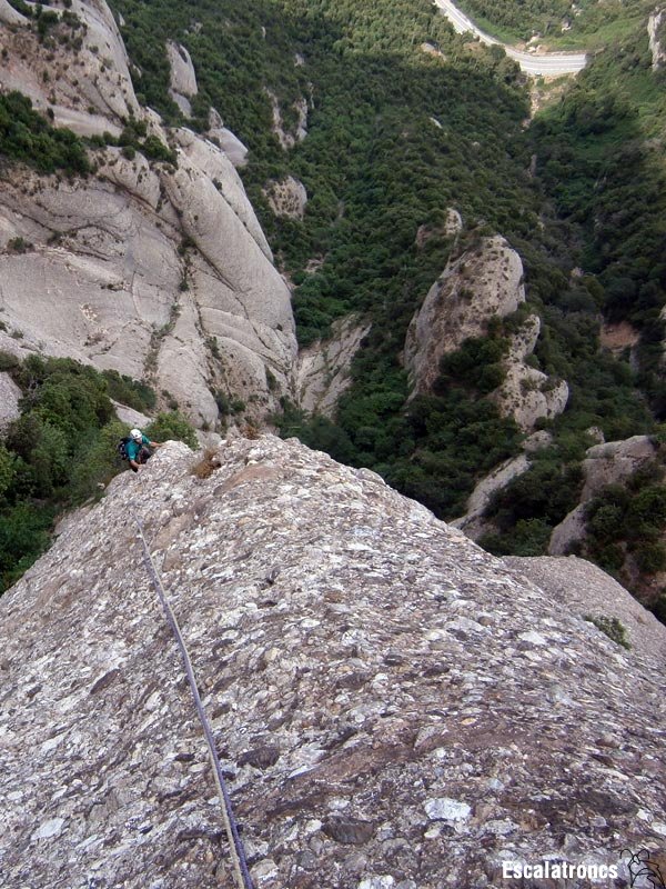 Setena tirada